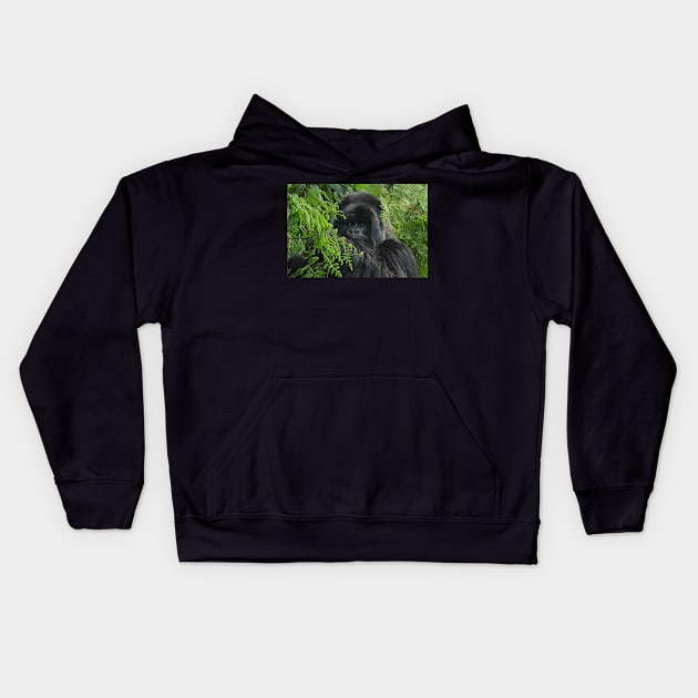 Hirwa, Silver Back Male Mountain Gorilla Kids Hoodie by Carole-Anne